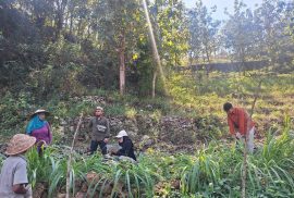 Penelitian Dosen UGM Bersama Mahasiswa Geo-Informasi Ungkap Peluang Pertanian Berkelanjutan di Kawasan Karst