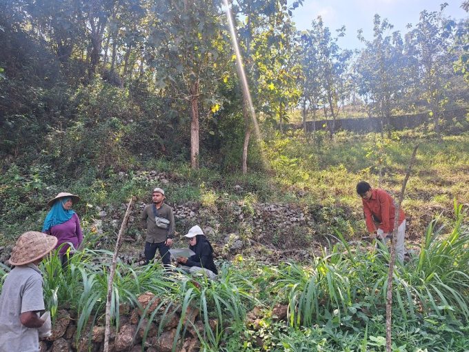 Penelitian Dosen UGM Bersama Mahasiswa Geo-Informasi Ungkap Peluang Pertanian Berkelanjutan di Kawasan Karst